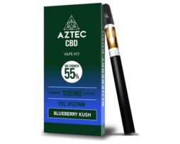 Aztec CBD 1000mg Vape Kit - 1ml